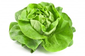 Kopfsalat grün 1 stc