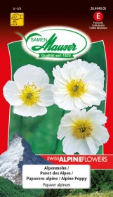 Alpenmohn