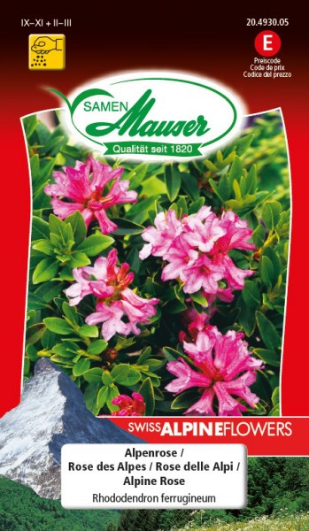 Alpenrose