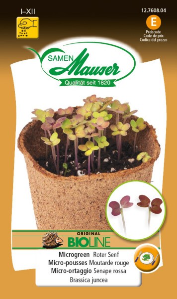 BIO-Microgreen Roter Senf