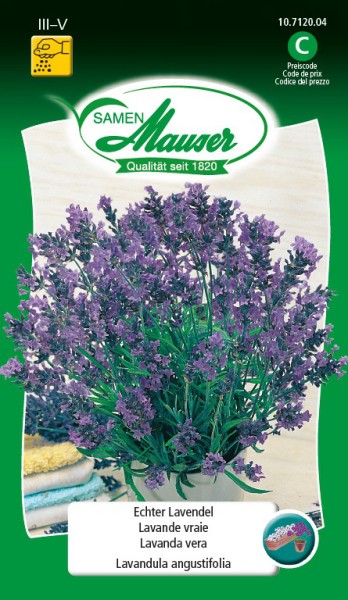 Lavendel echter